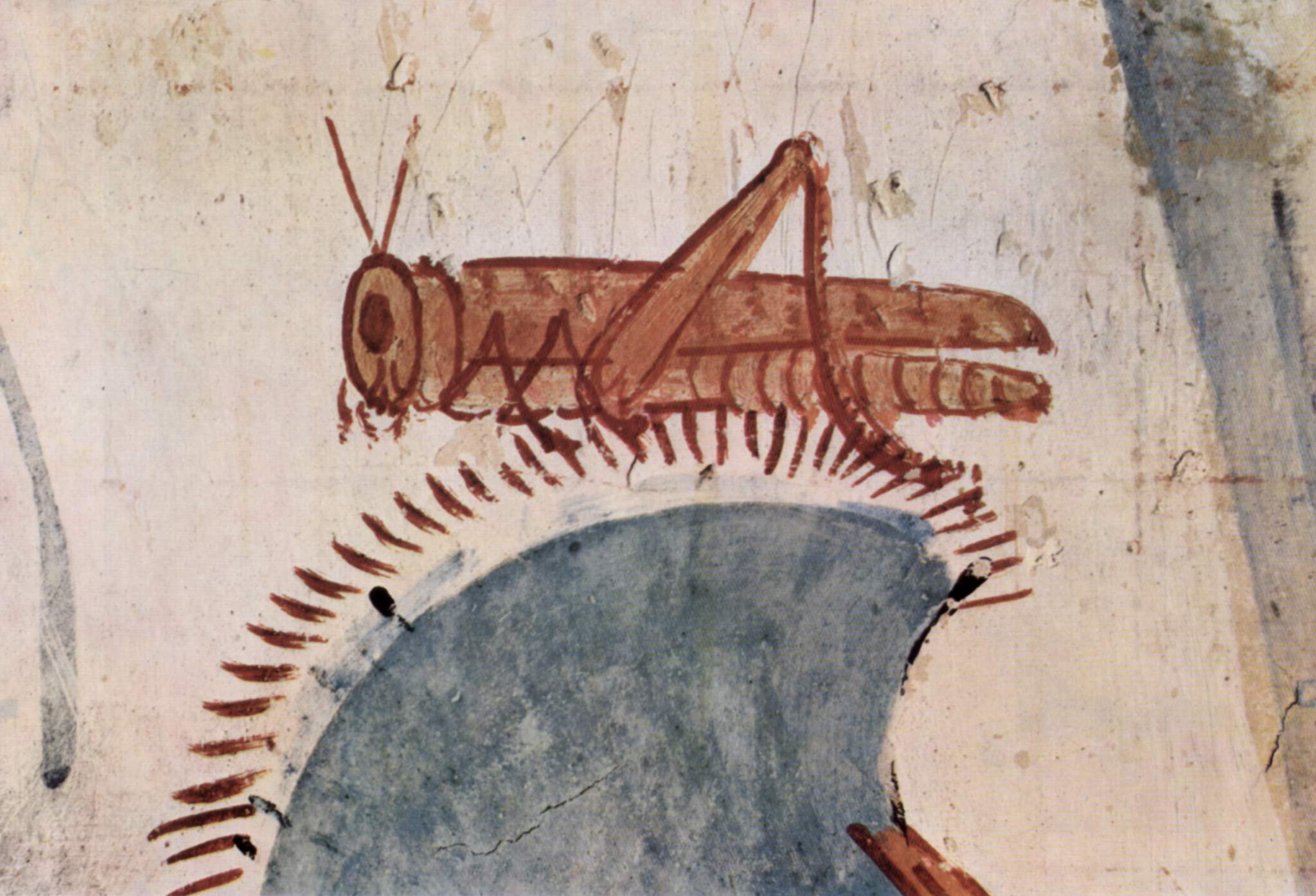 Grasshopper - Tomb of Horemheb. Source: Wikimedia