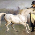 Napoleon's Horse marengo horse