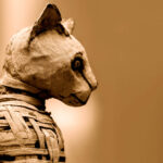 Old egyptian mummy cat close up detail.