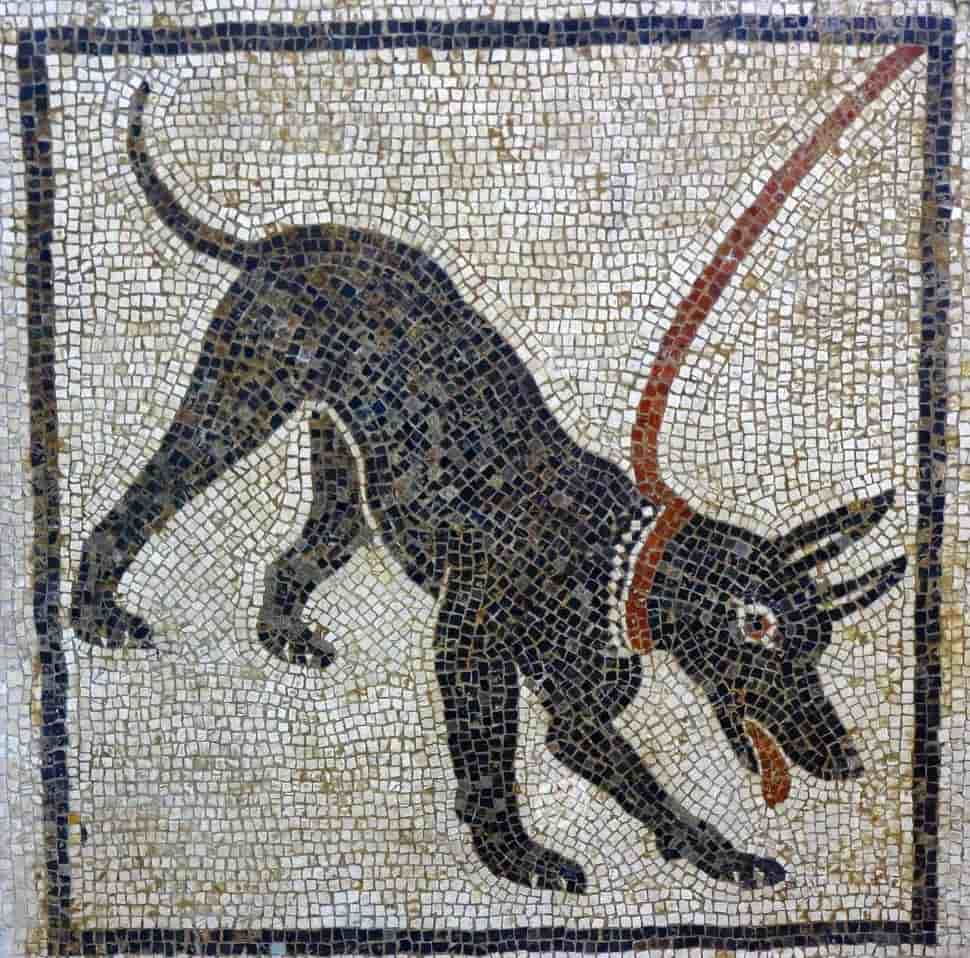 A pictograph with "beware of the dog" warning at the ancient Roman city of Pompeii, 79 AD. It is the oldest form of writing that is still in use today In the timeline of the history of writing.