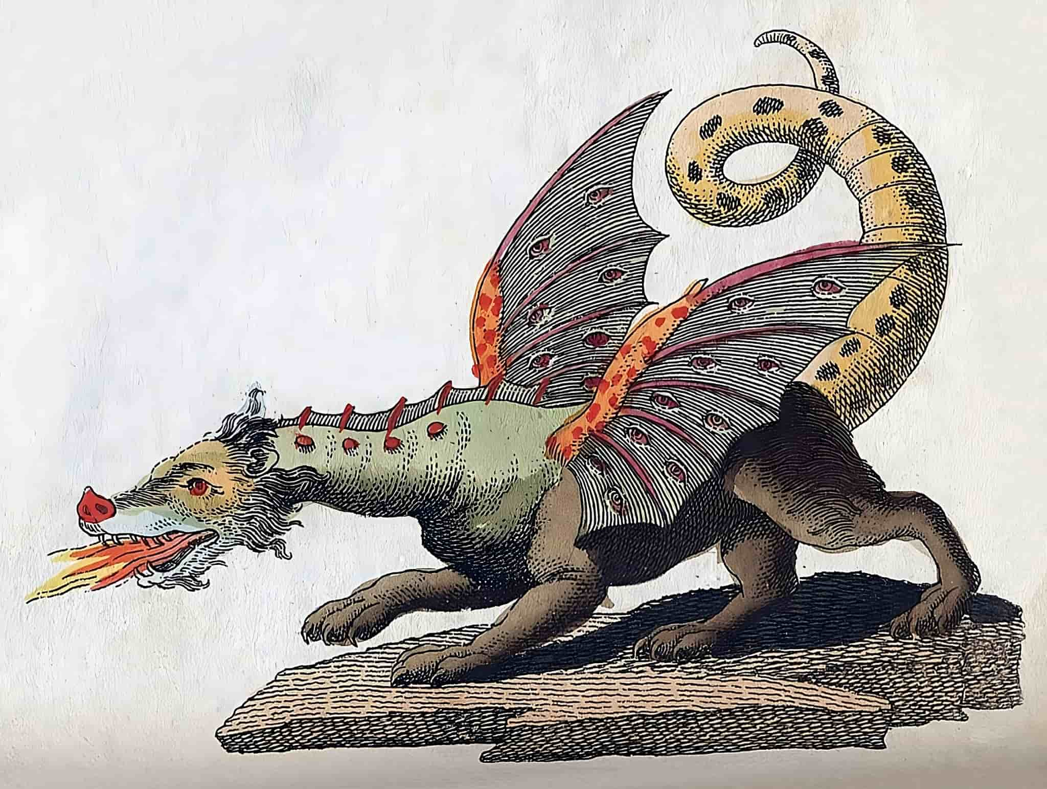 Frederick Justin Bertuch's 1806 depiction of a flying, flame-breathing dragon.