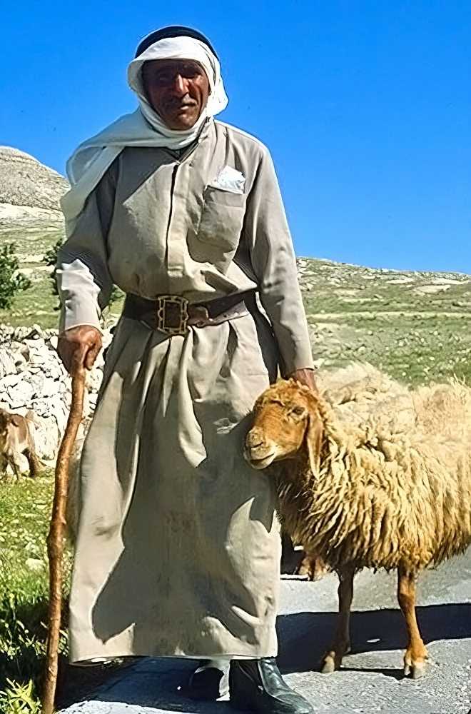 A Jewish shepherd in the Judean Hills. 