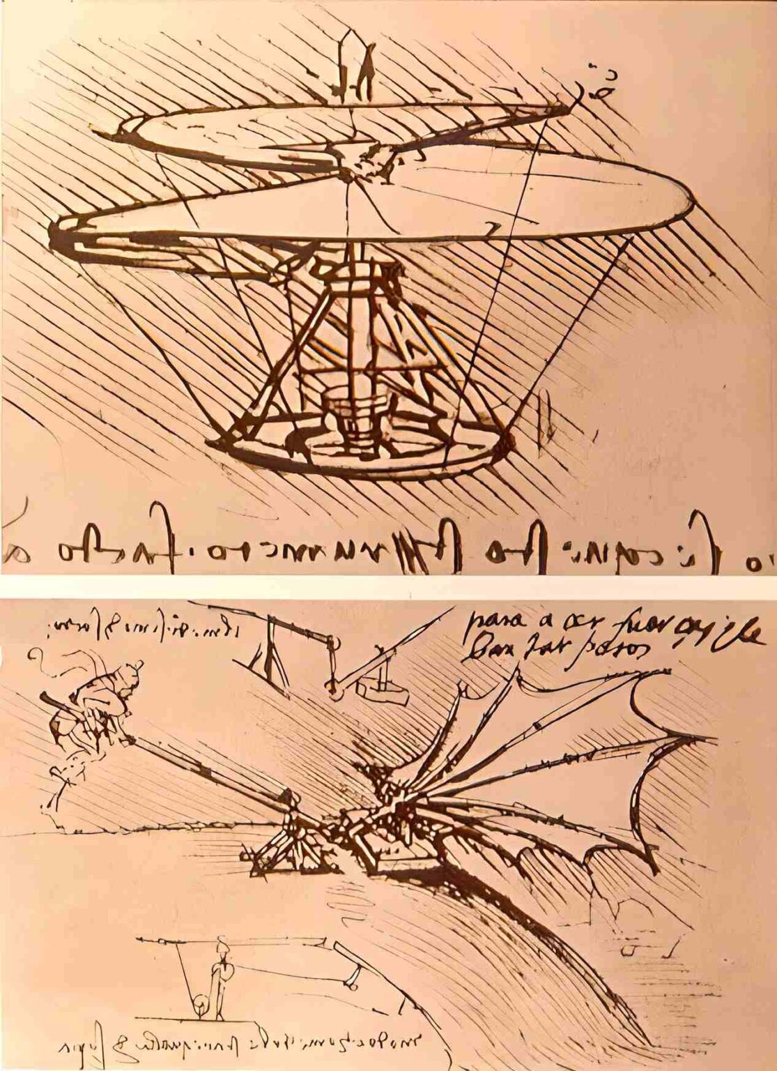 Aerial Screw Leonardo da Vinci's Helicopter Malevus