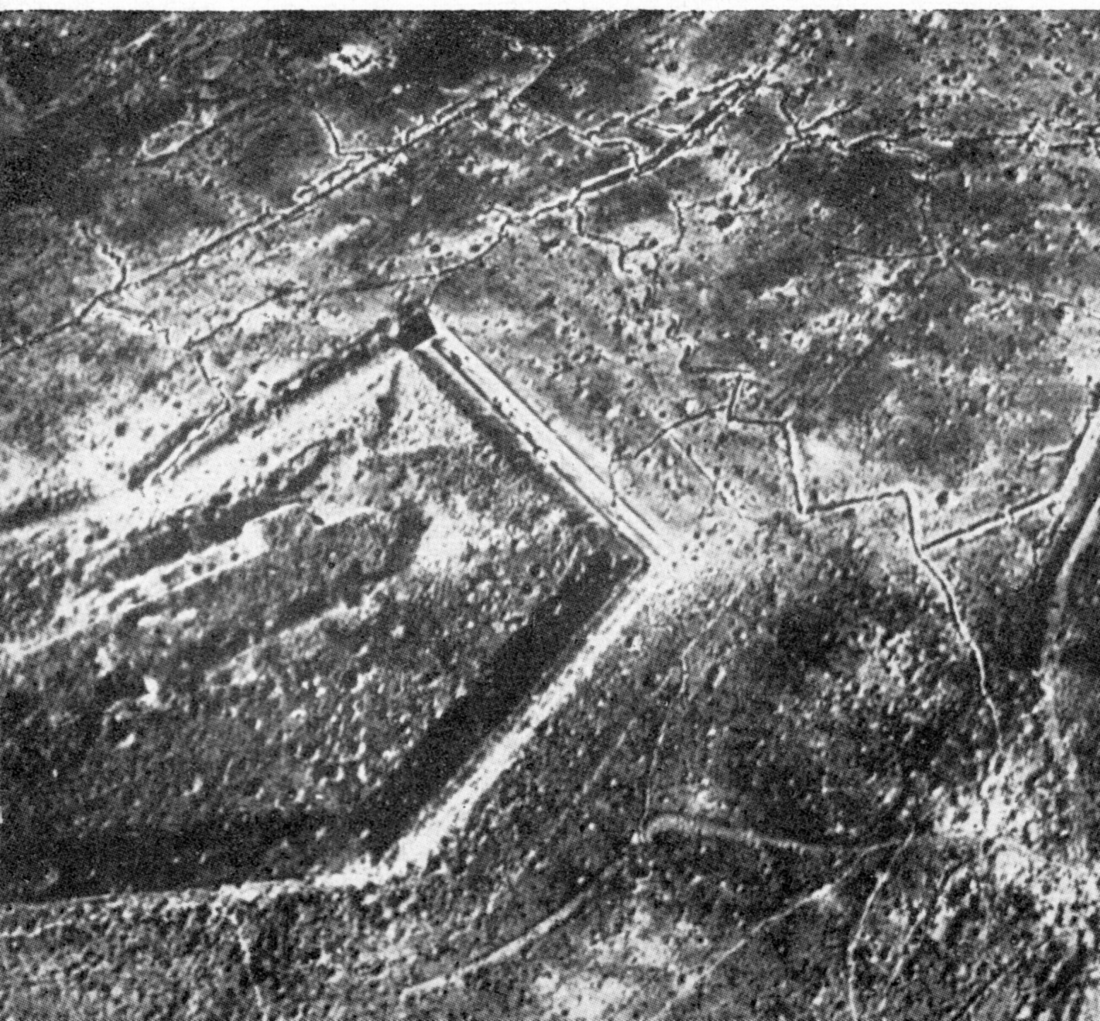 Douaumont after the battle