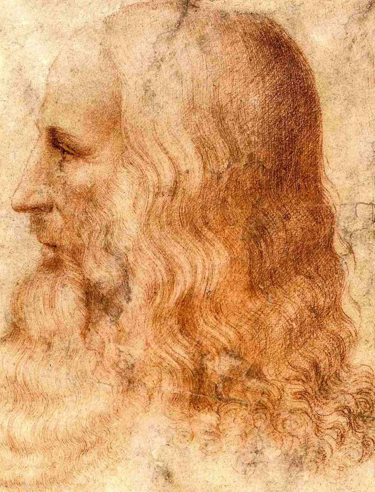 leonardo da vinci portrait