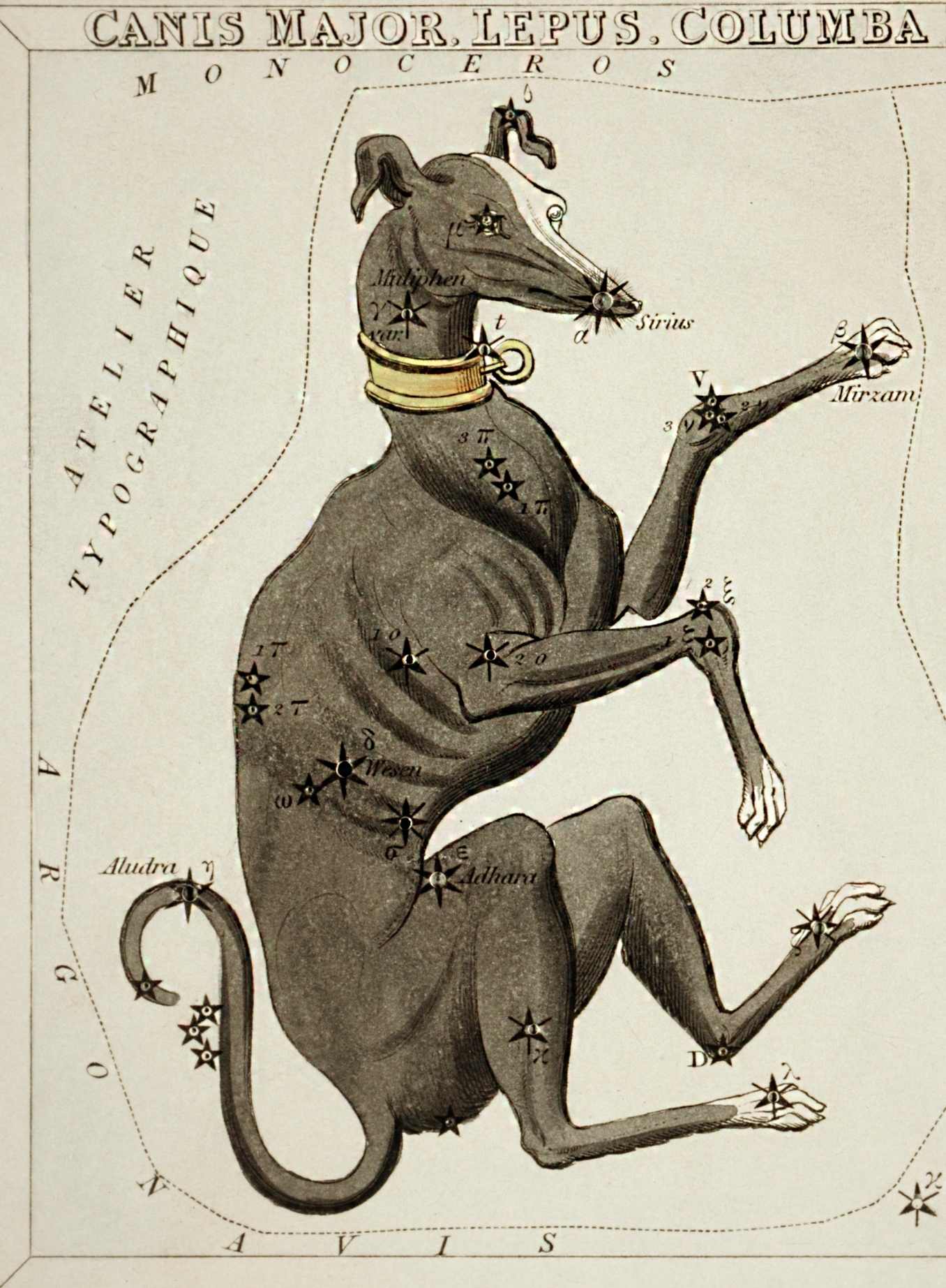 (1831) astronomical chart illustration of the Canis Major constellation.