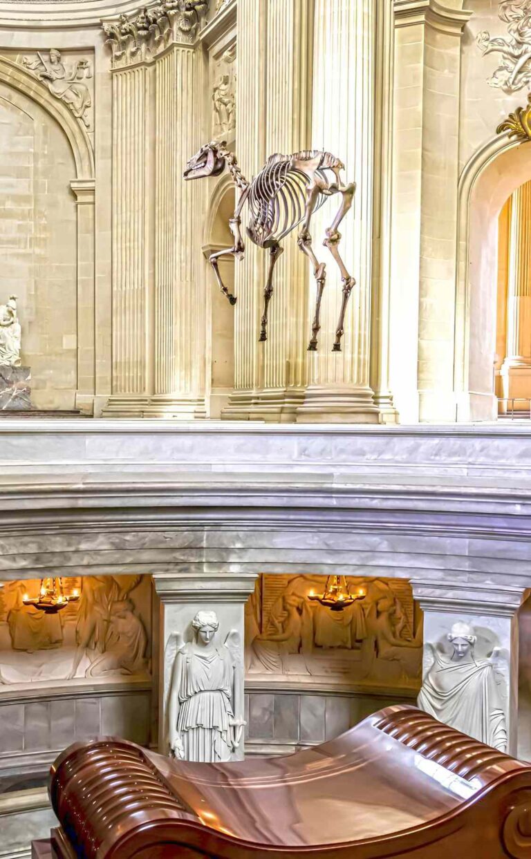 Napoleon S Horse The Legendary Marengo Malevus   Memento Marengo Hanging Over Napoleons Tomb In Dome Des Invalides 768x1243 