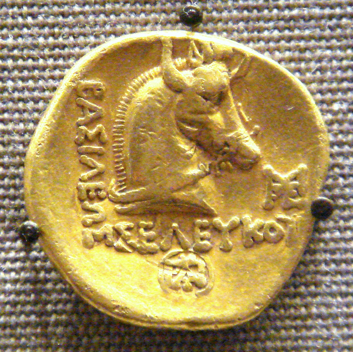 Coin of Seleucus I depicting Bucephalus with horns.