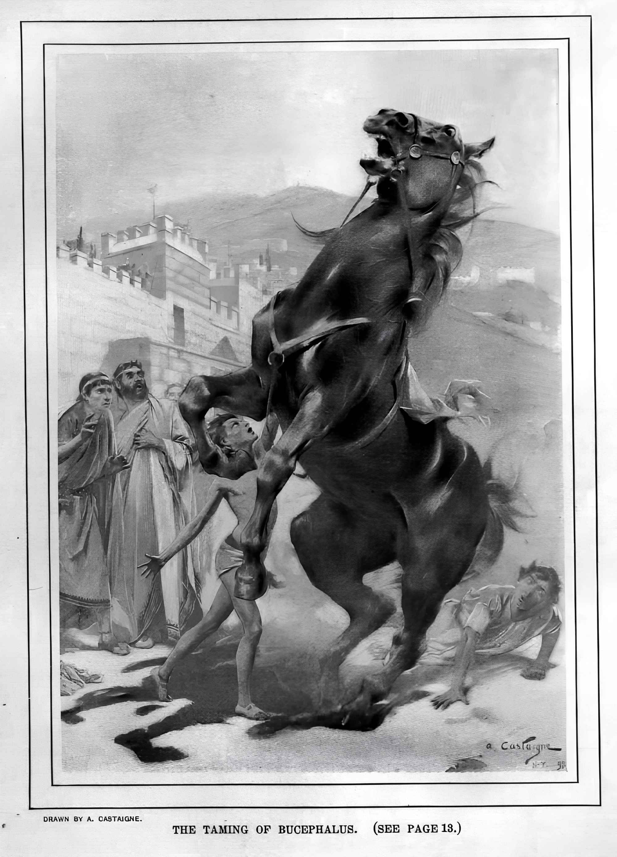 The taming of Bucephalus horse Alexander the Great