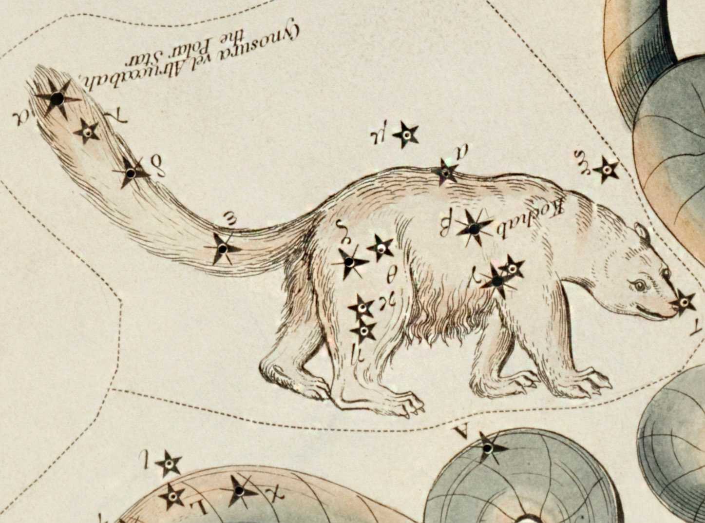 (1831) astronomical chart illustration of the Ursa Minor constellation.