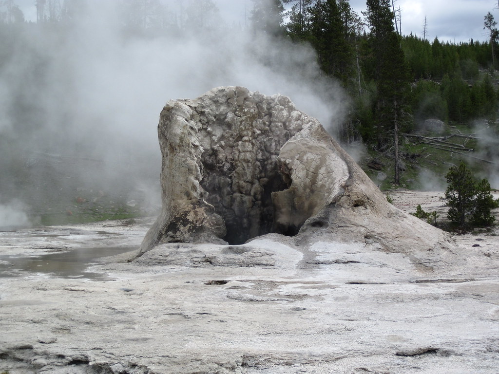 The Yellowstone's Giant Geyser. 