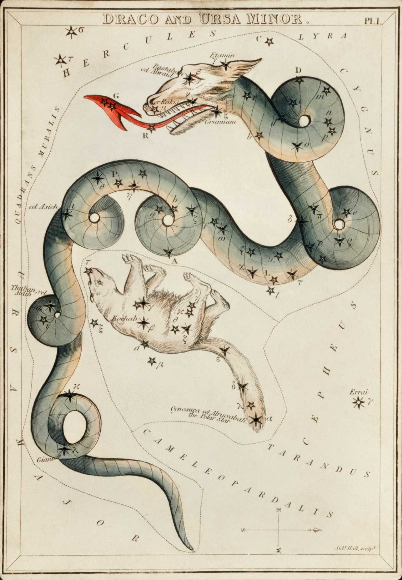 Draco constellation.