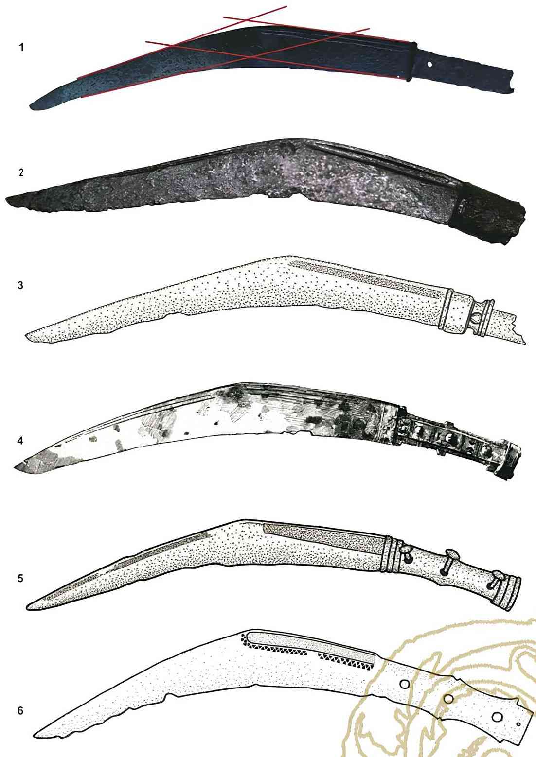 sica sword species from various areas.