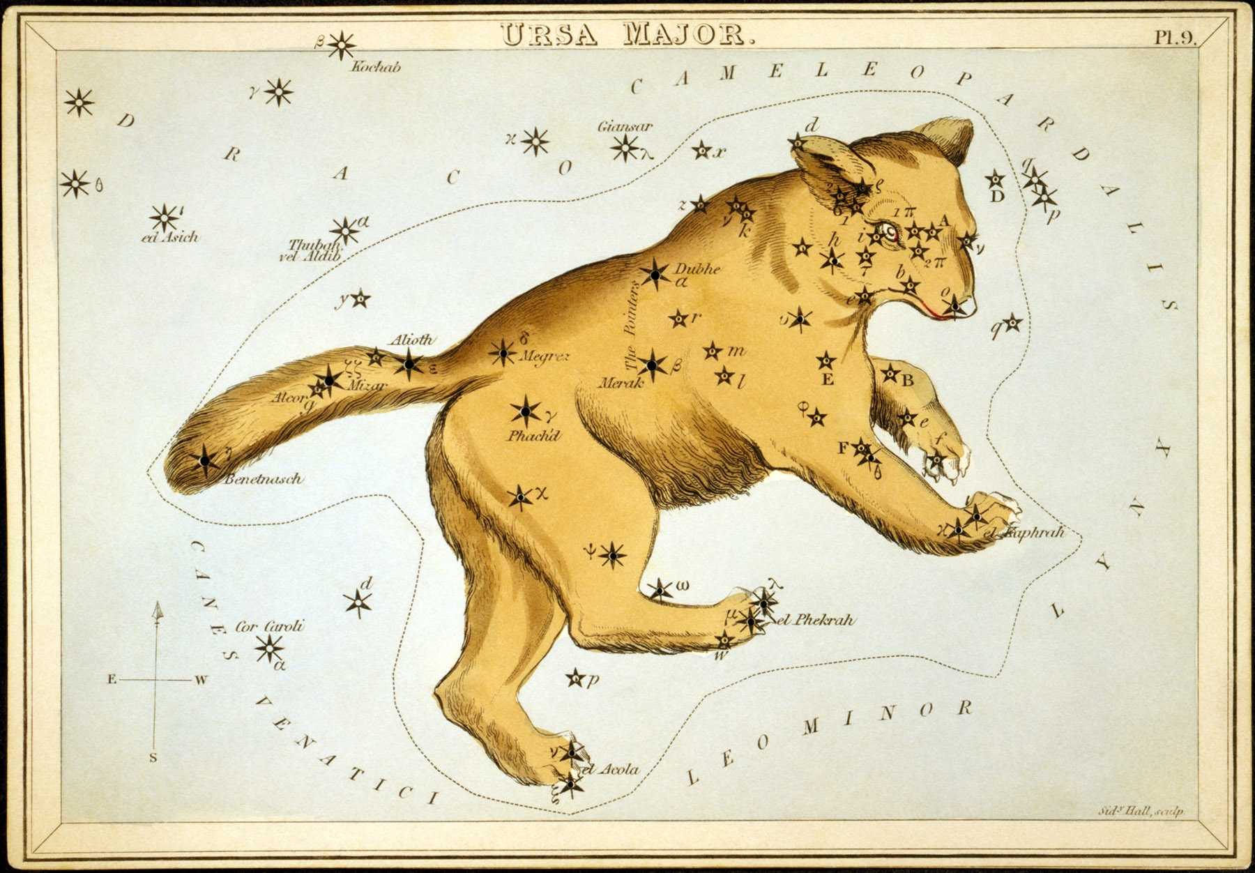 (1831) astronomical chart illustration of the Ursa Major constellation.