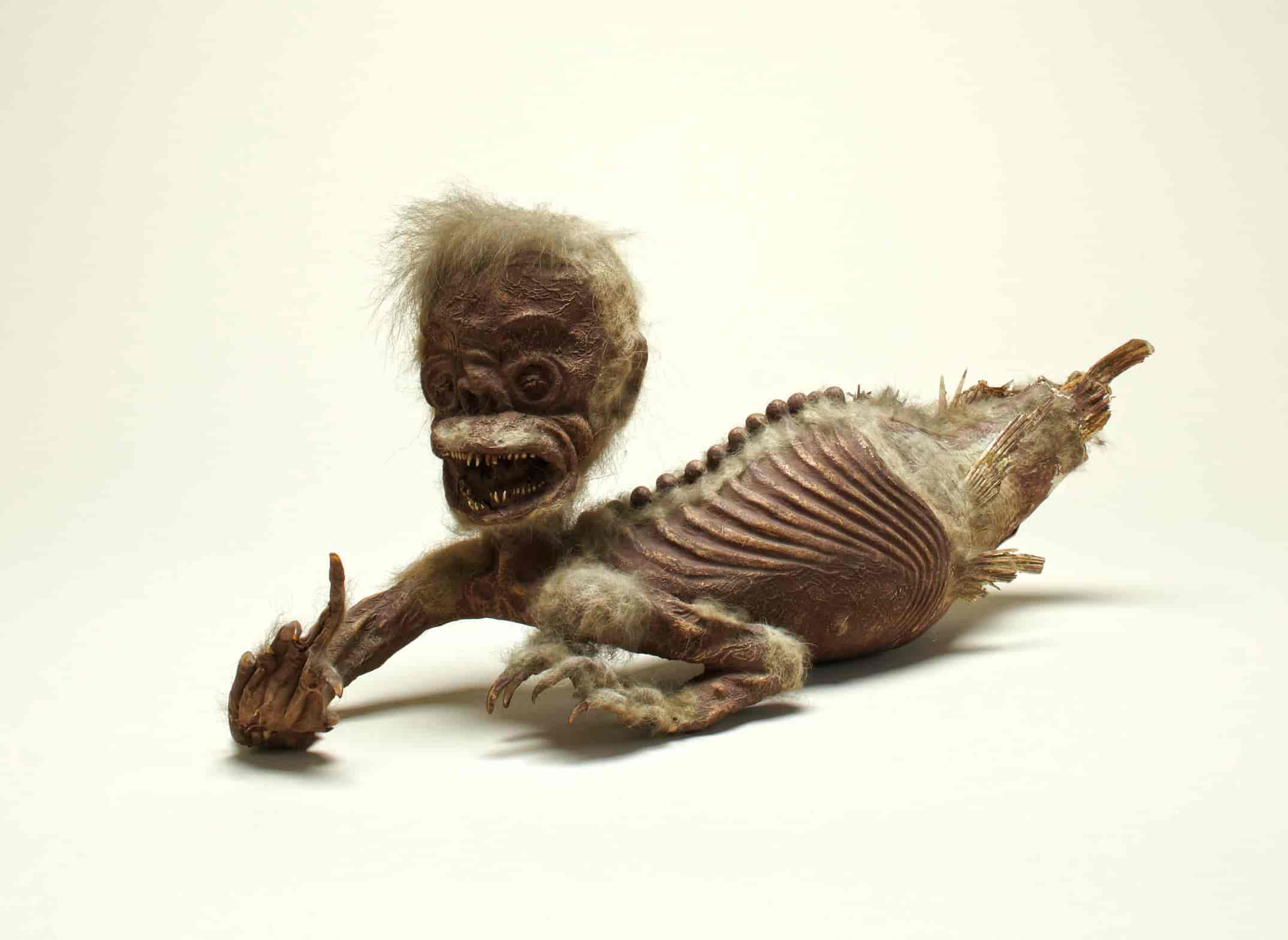 Fiji Mermaid