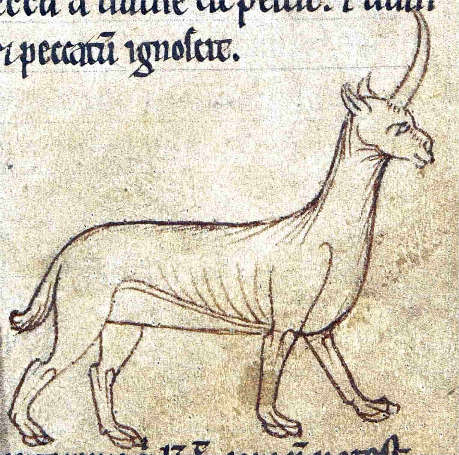 A monoceros. From a bestiary (British Library MS. Add. 11183). 11-12th century.