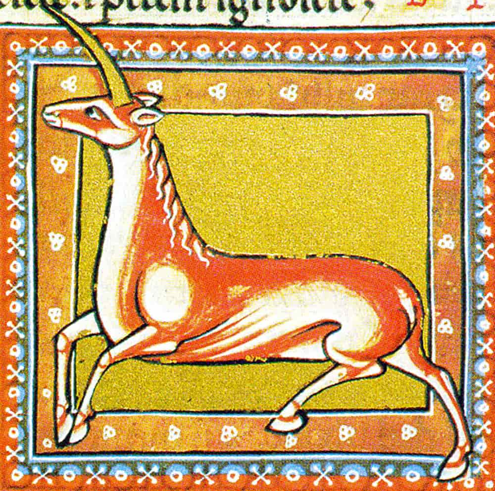 The monoceros. Ashmole Bestiary. Early 13th century.