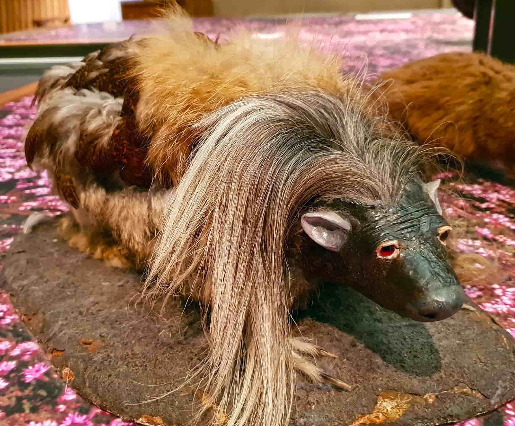 Haggis Animal A Mythical Creature Of Scottish Cuisine Malevus
