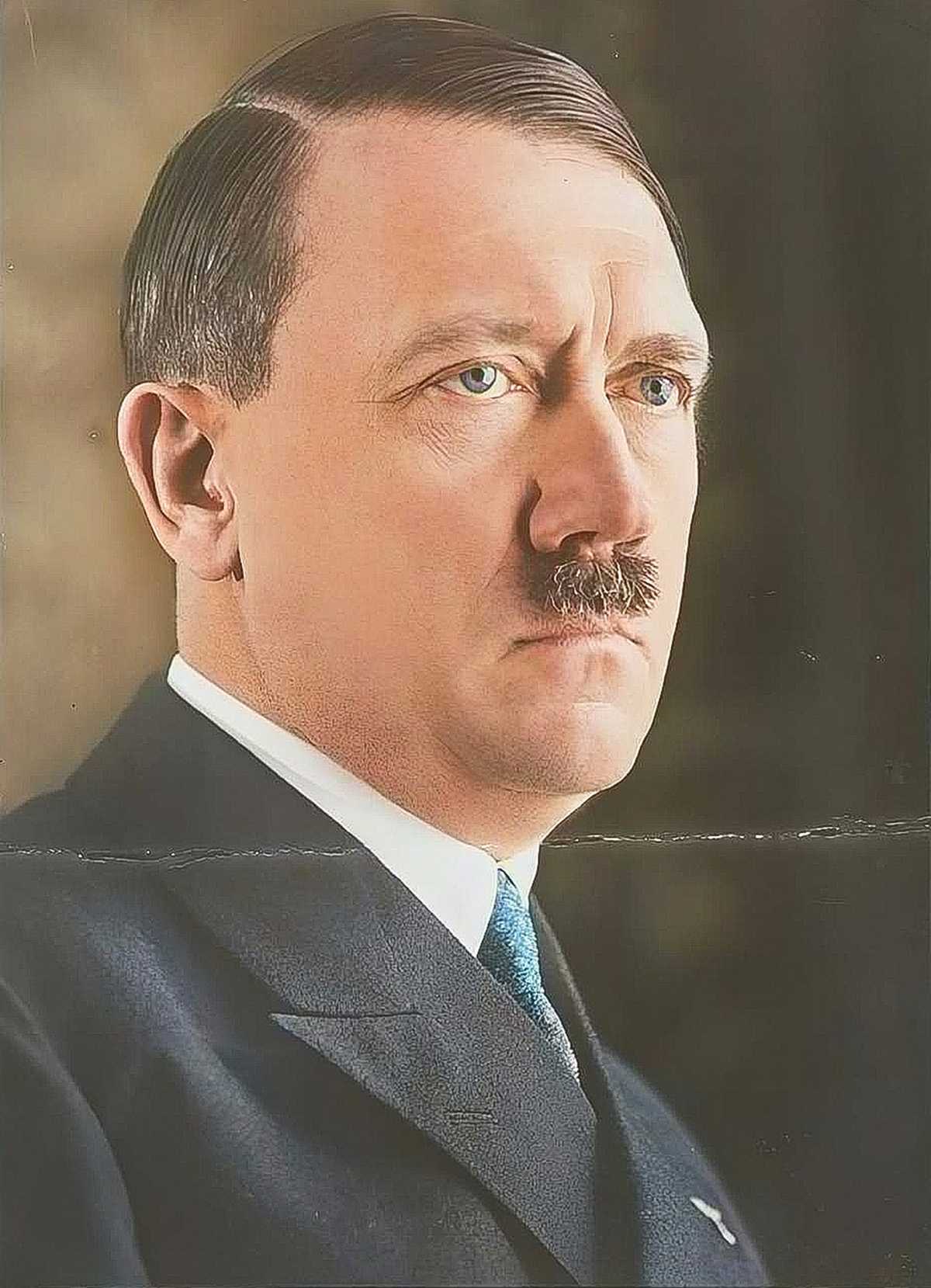 adolf hitler's portrait: How Intelligent Was Adolf Hitler?