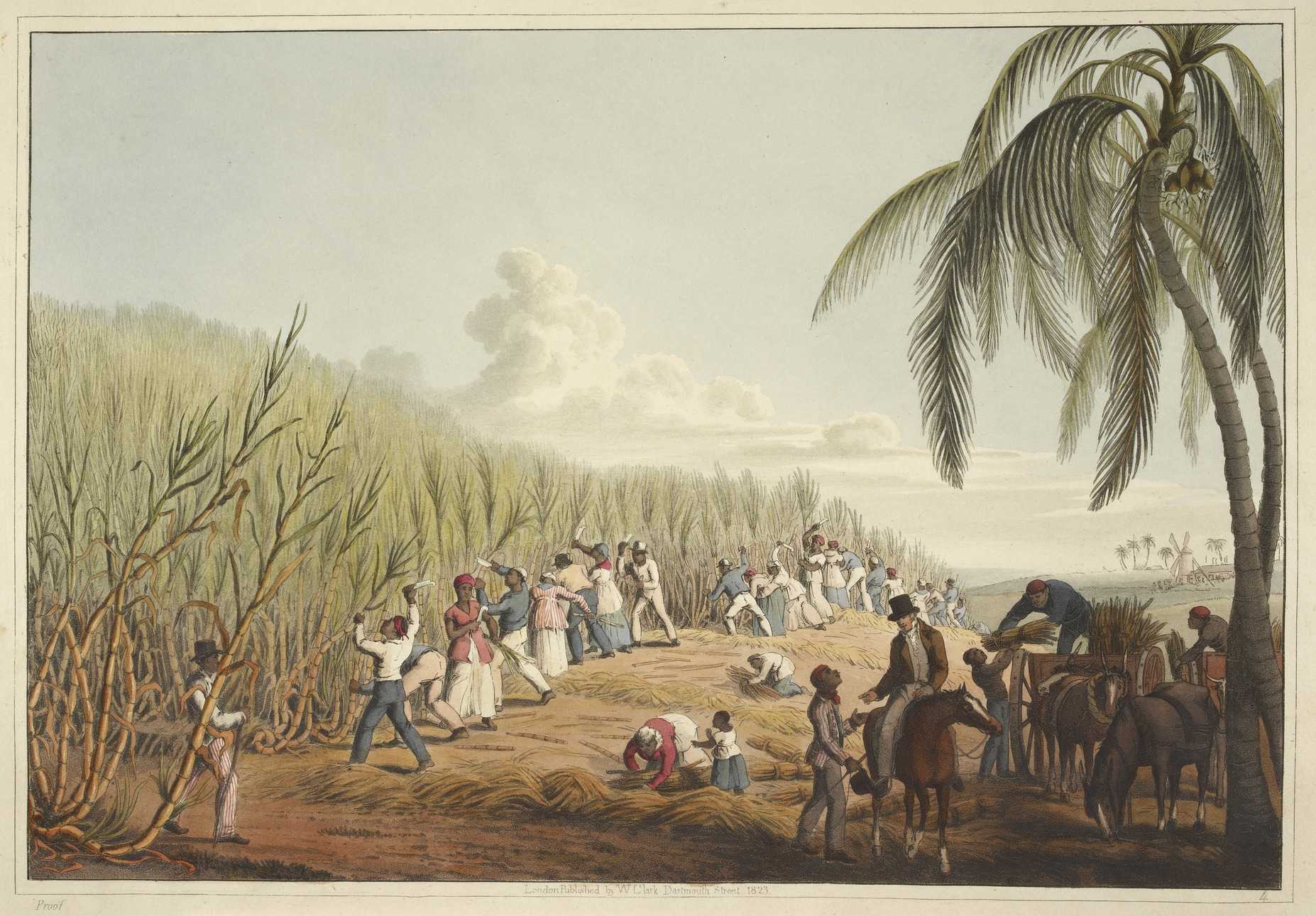 Image taken from Ten Views in the Island of Antigua. William Clark, 1823.