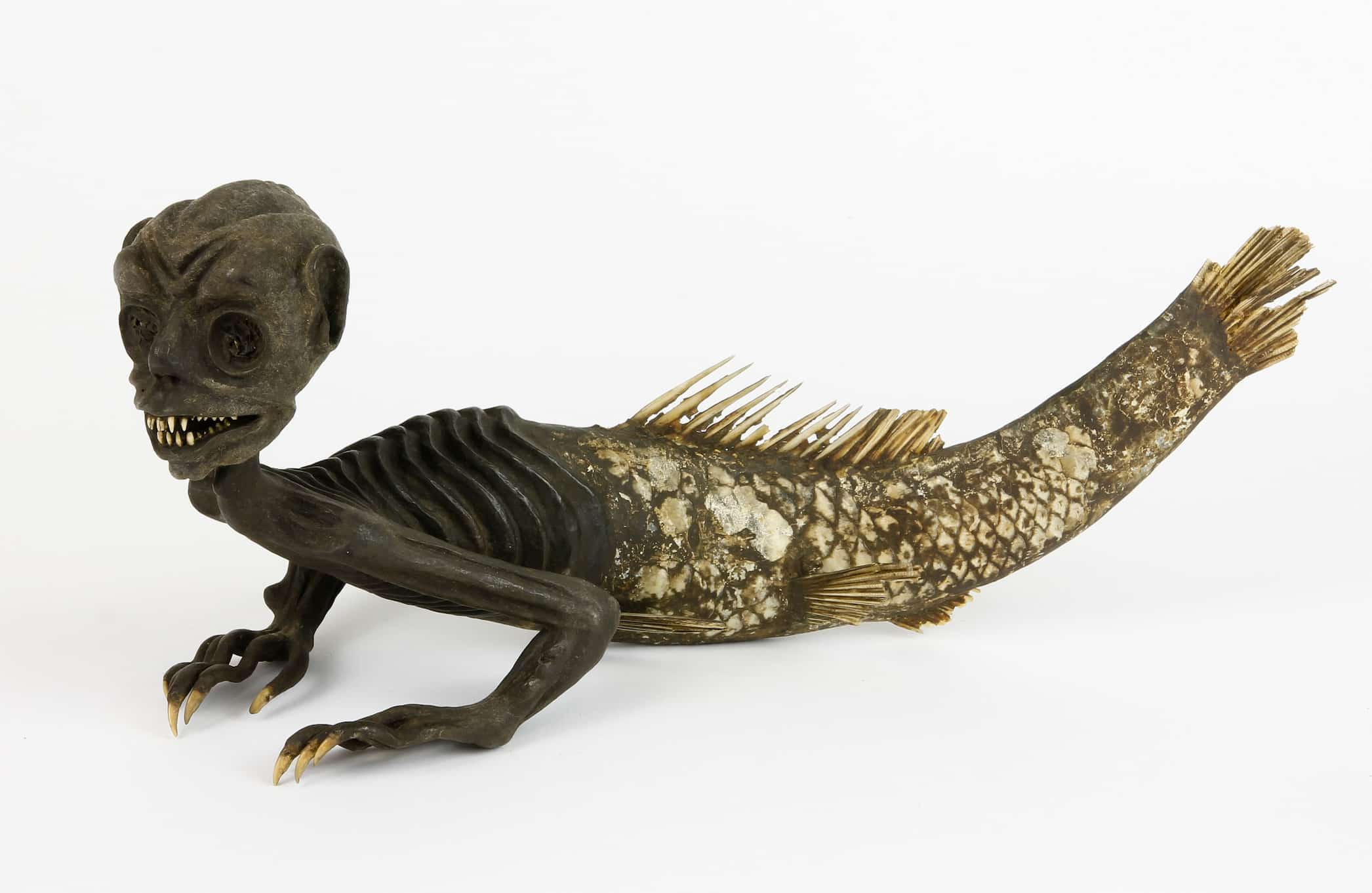 fiji mermaid 15