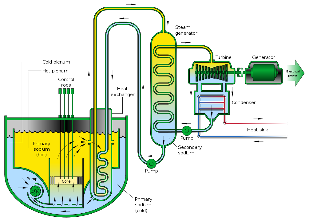 Pool type sodium-cooled fast reactor (SFR)