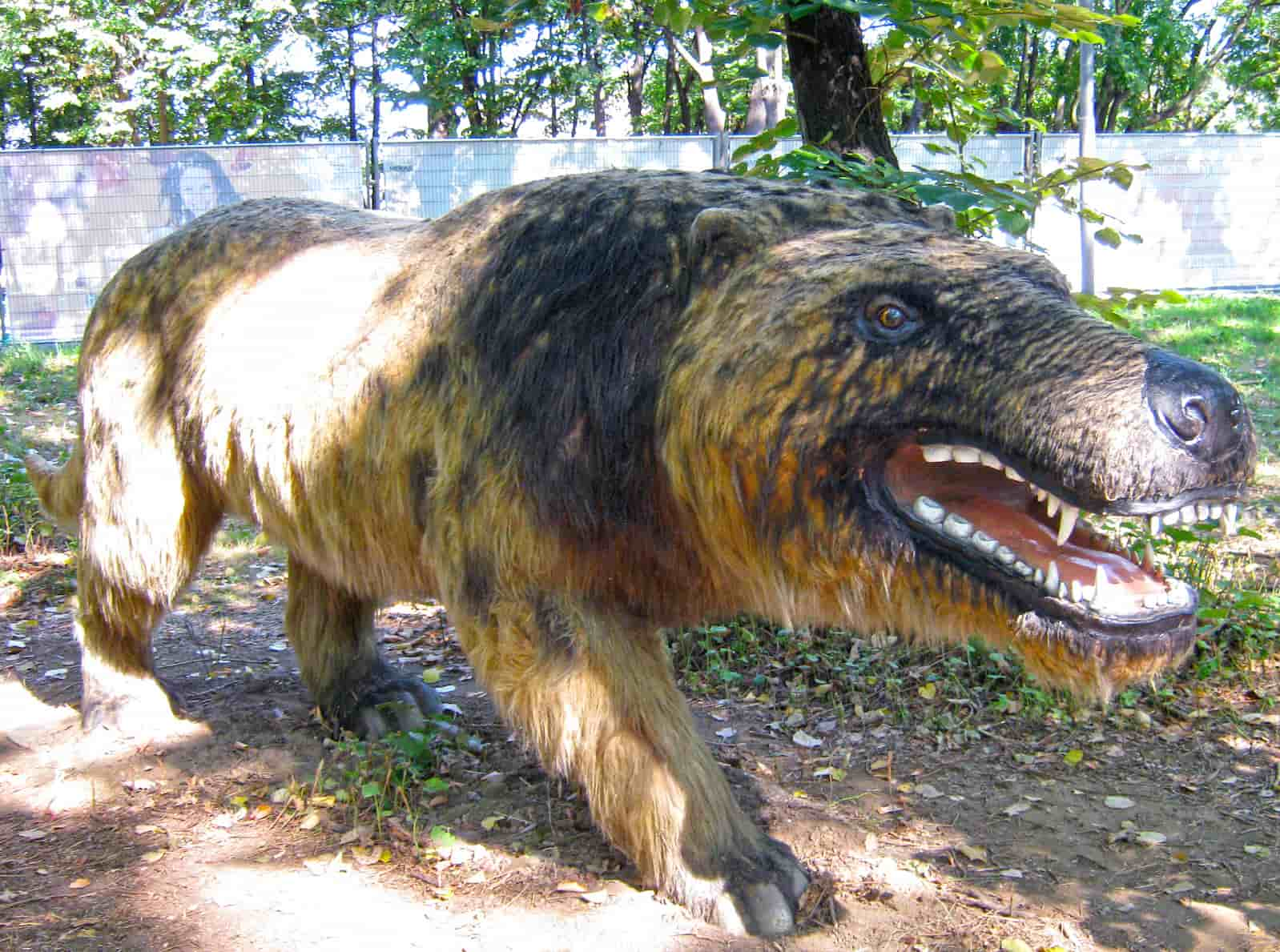 An Andrewsarchus model