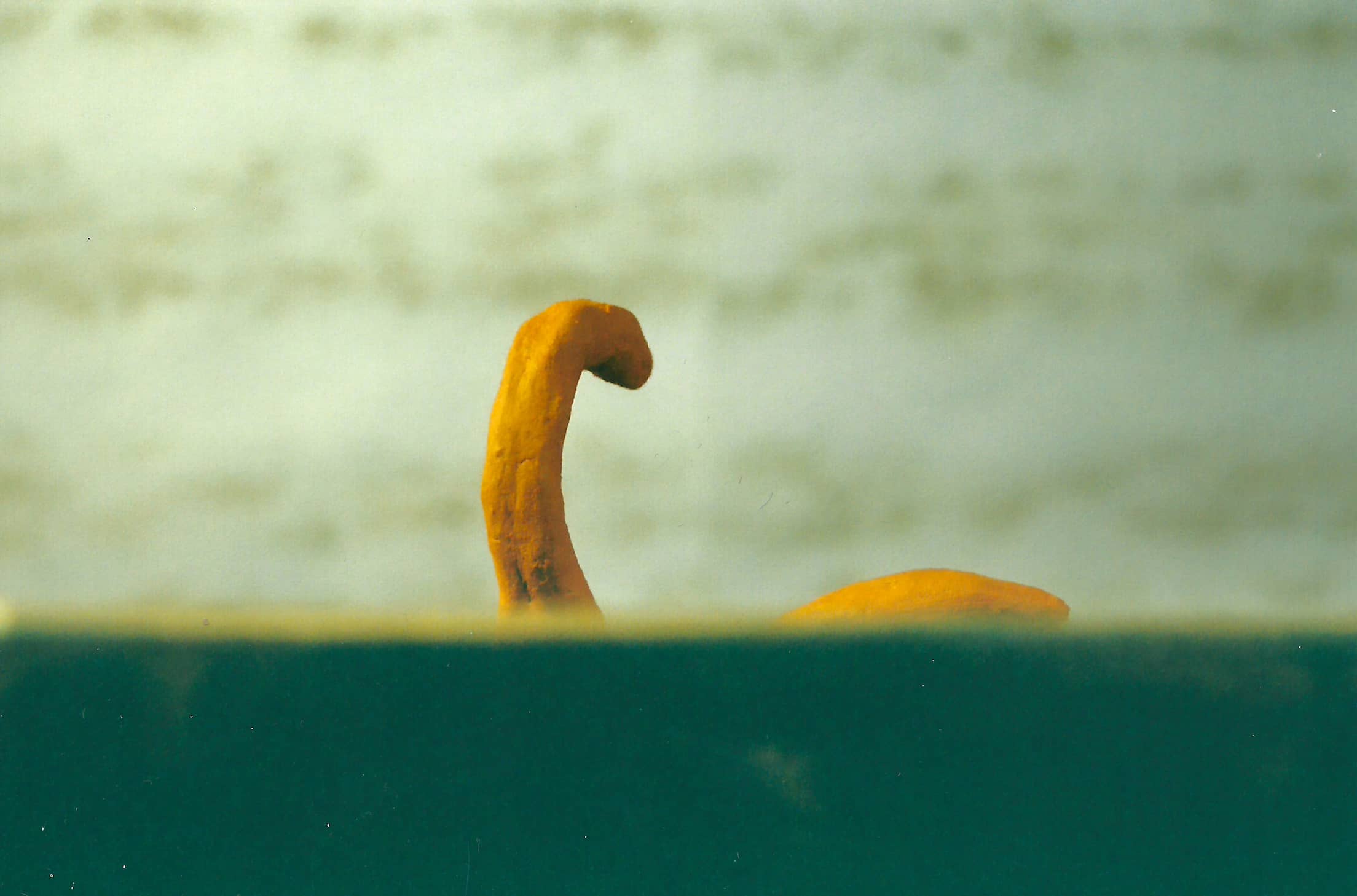 The model of a floating tree stump that resembles the lake monster Champ, or even Nessie.