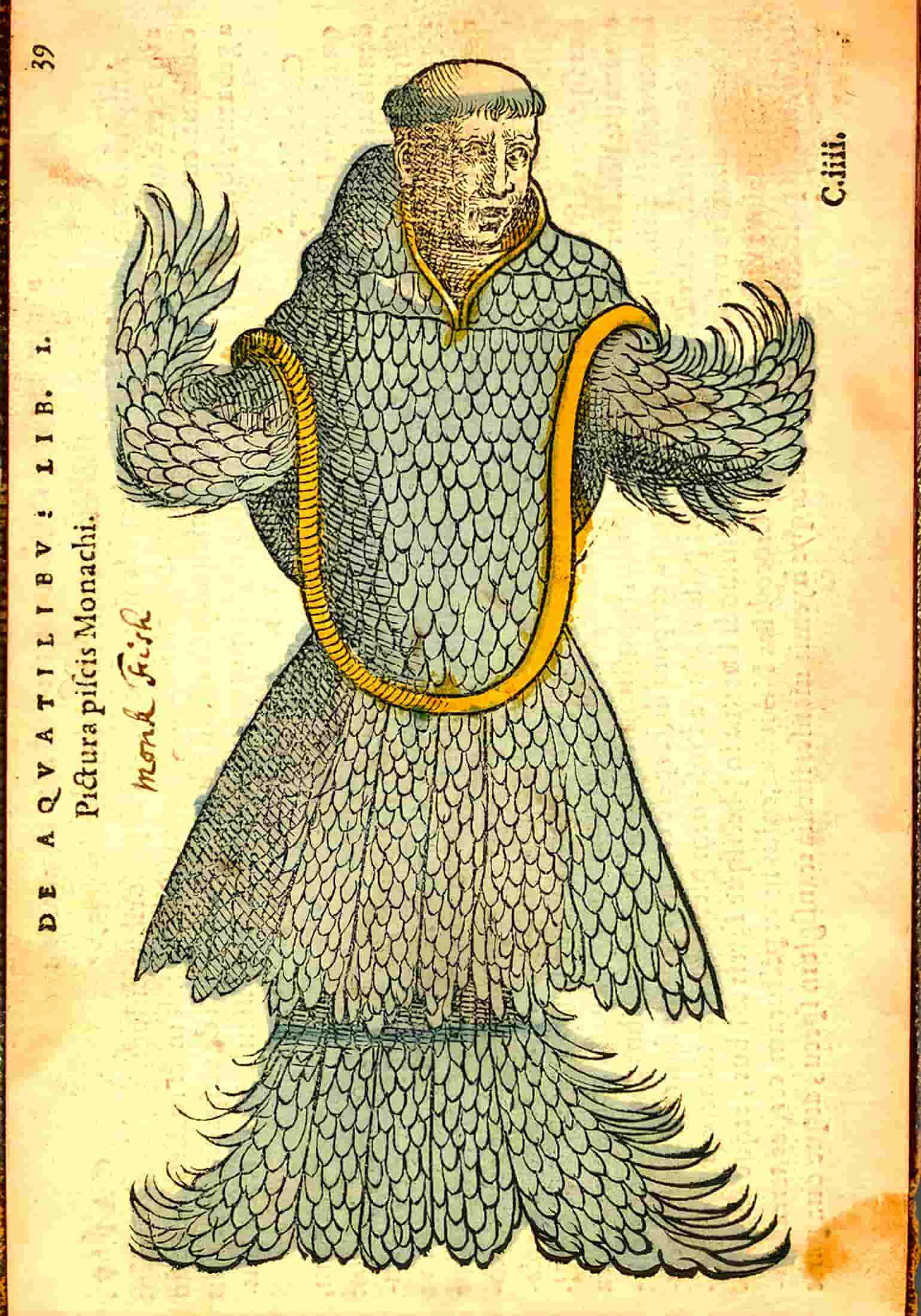 Bellon du Mans' (Pierre Belon) sea monk illustration, 1553.