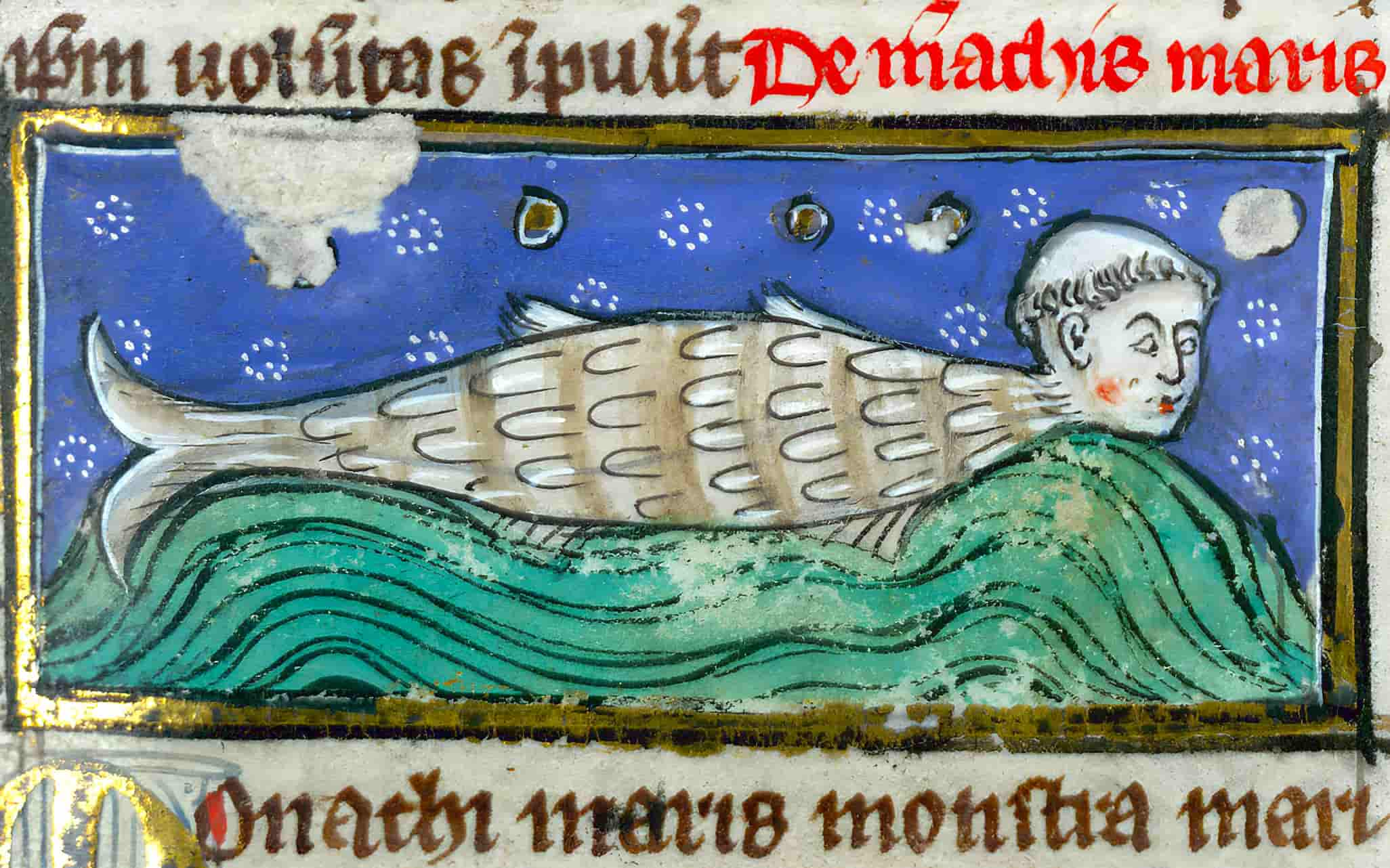 The depiction of a sea monk in Thomas of Cantimpre's Liber de natura rerum, France ca. 1290.