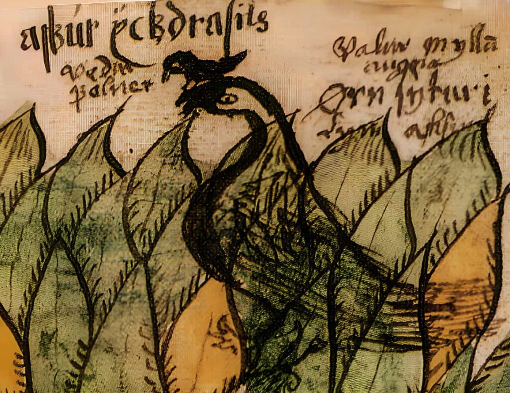 A hawk, Veðrfölnir, perched on an eagle atop a tree, Yggdrasil, is shown in a picture from an Icelandic manuscript dating back to the 17th century.