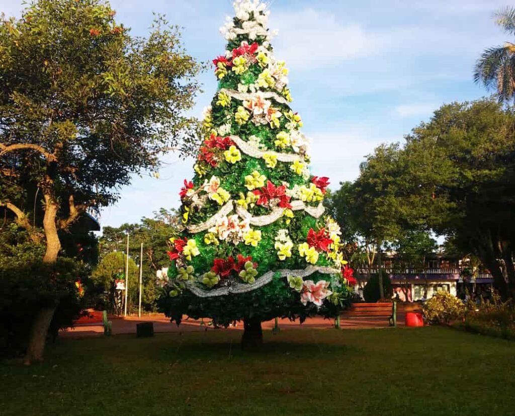 A Christmas tree in Argentina.