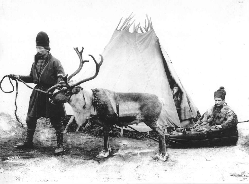 Man and reindeer with a pulk. Jämtland, the 1890s.