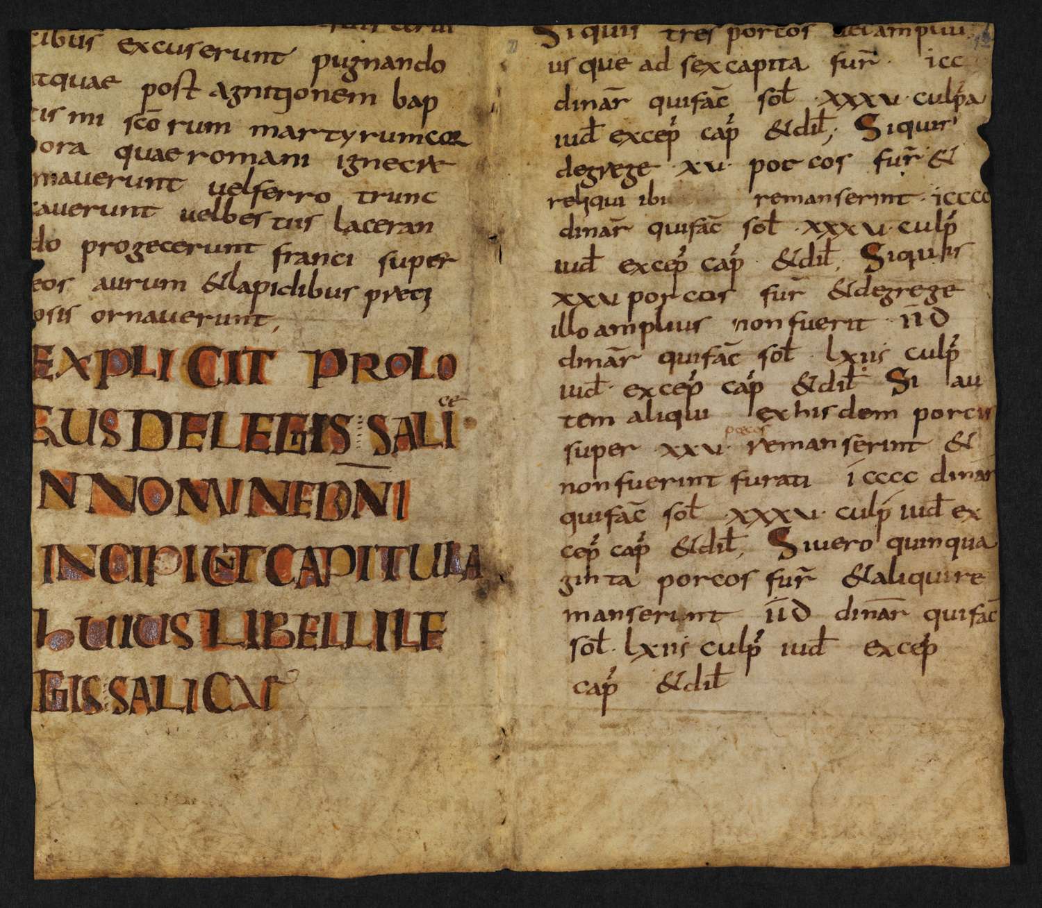 Salic Law. Manuscript No. 30c.