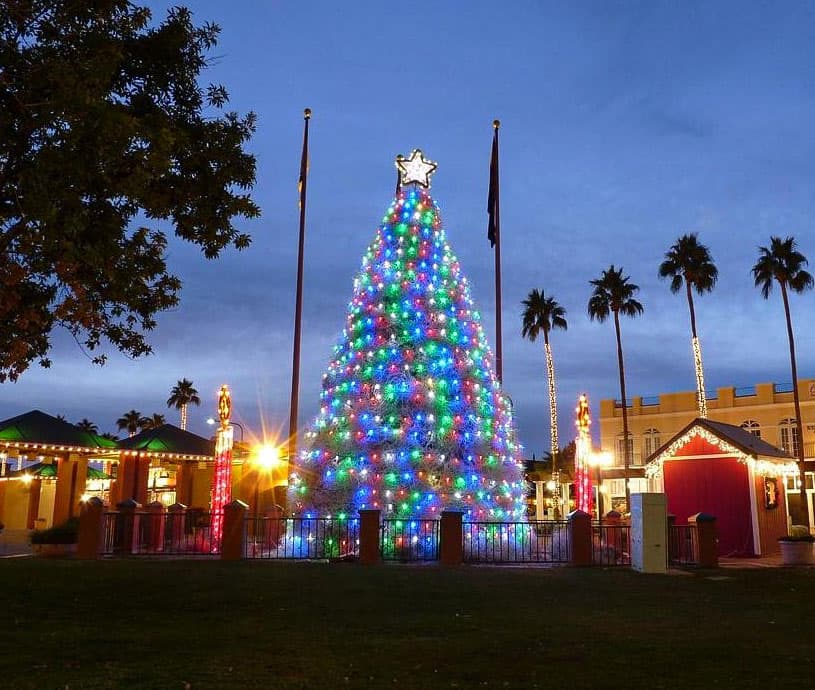 Tumbleweed Christmas Tree in Chandler, Arizona.