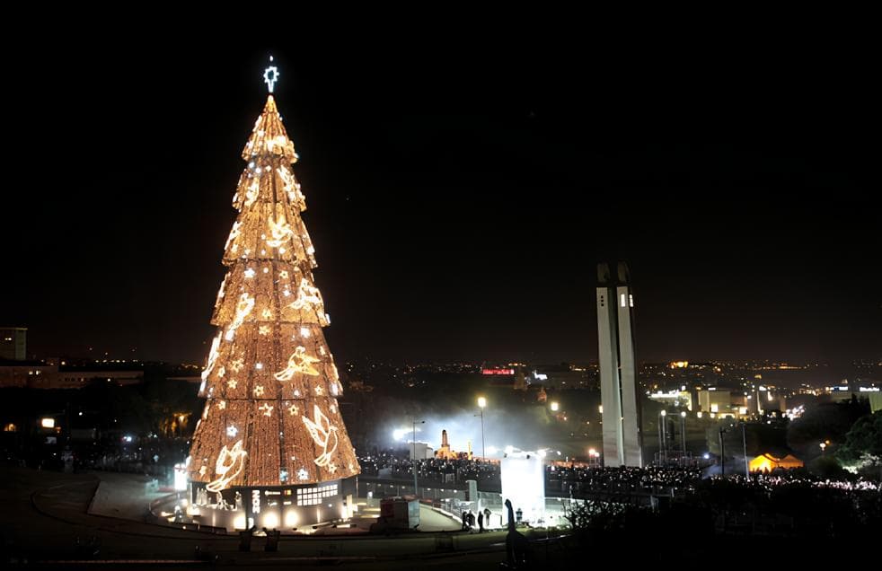 Zon Christmas tree in Lisbon