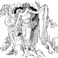 Dryad