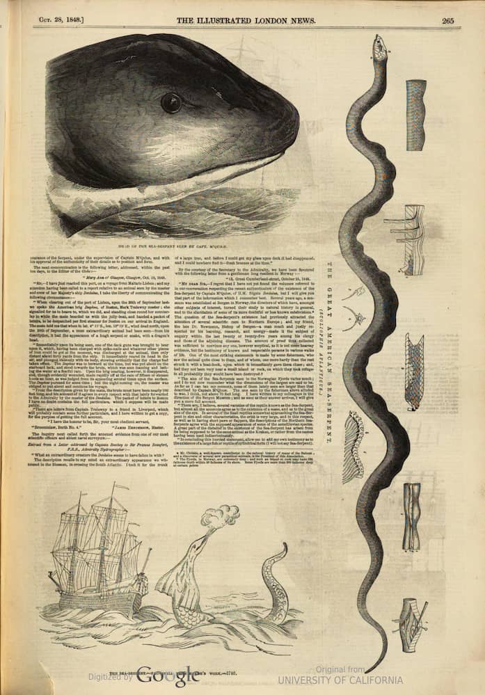 London Illustrated News article page with the third original illustration depicting head details.