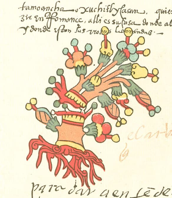 Tamoanchan in the Codex Telleriano-Remensis.
