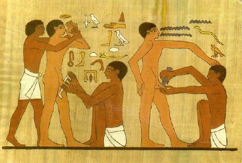 Circumcision — reproduction from a tomb at Saqqara.
