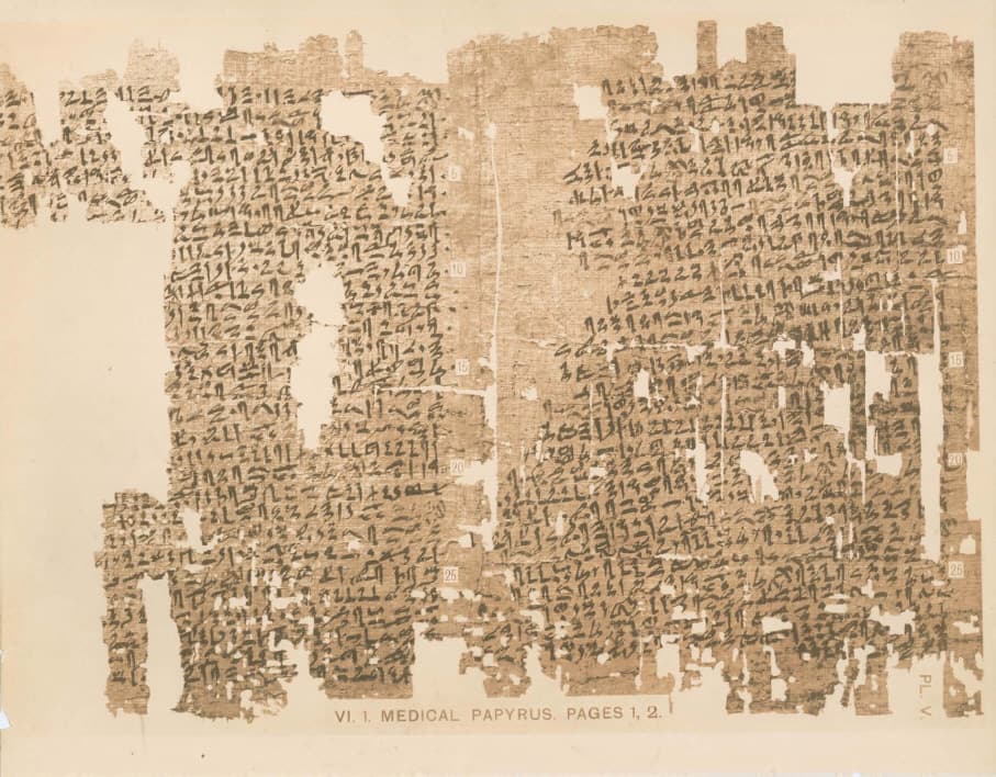 One of the oldest medical papyri.