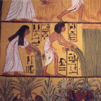 Peasants-of-ancient-Egypt