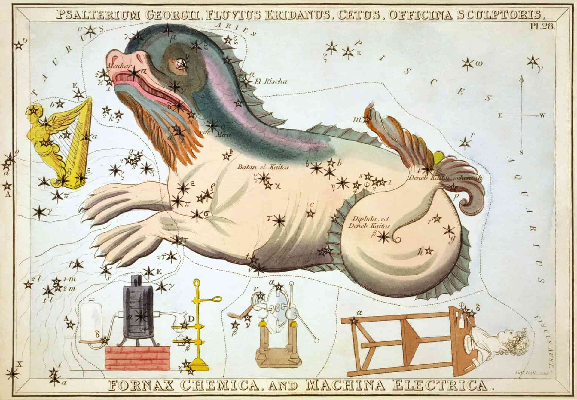 Cetus