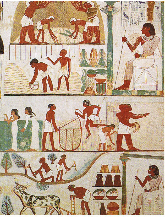 Mural depicting agriculture and dress for women and men of various social groups in ancient Egypt. From Nakht's tomb TT52 from the 14th century BC, located at the Valley of the Kings on the other side of ancient Thebes, present-day Luxor. Most wear white loincloths.