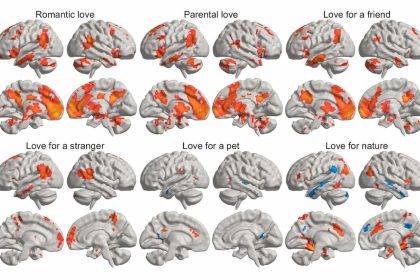 brain love