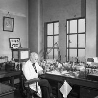 Fleming in his laboratory in 1943