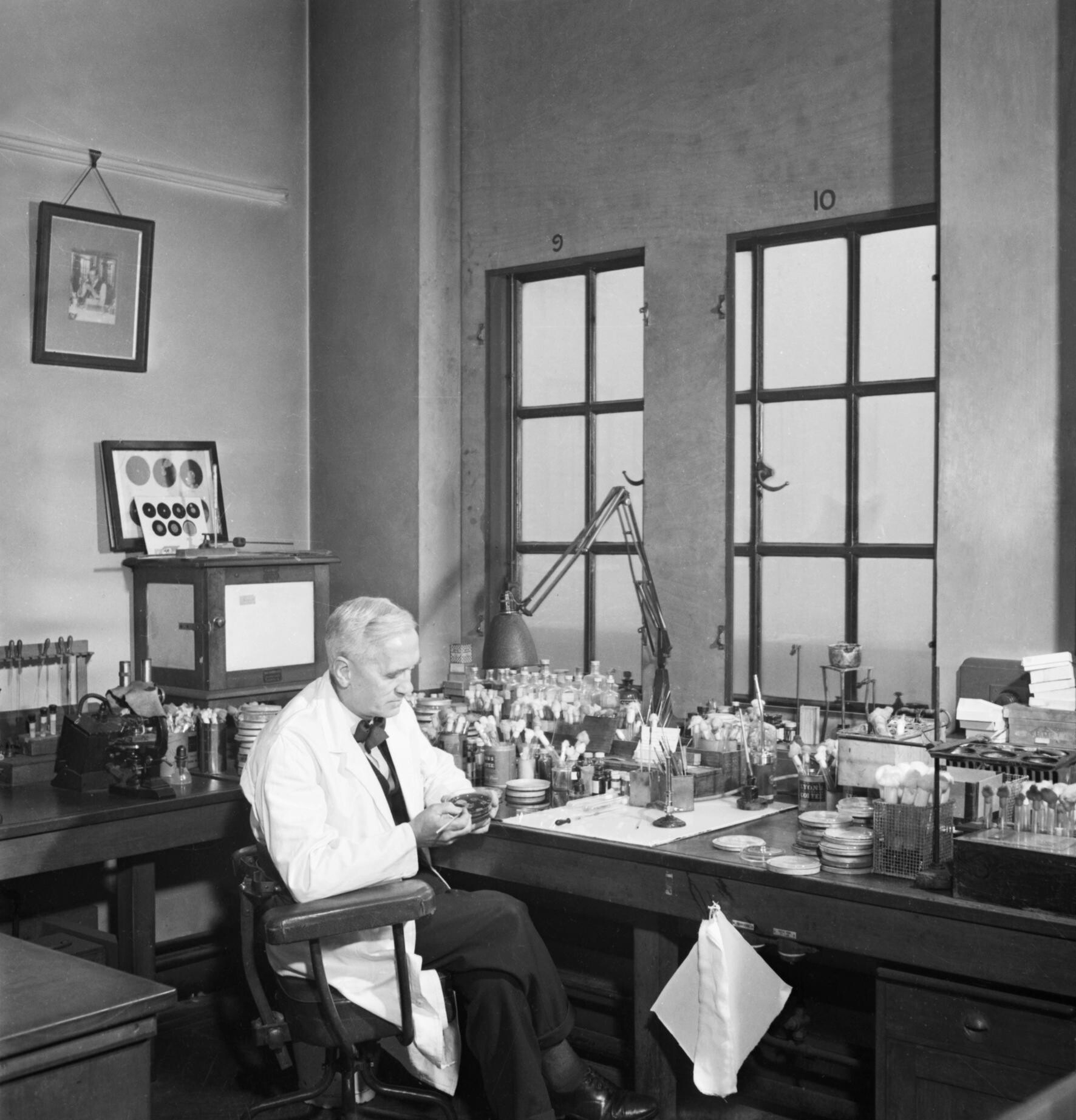 Alexander Fleming: 5 Facts to Understand the Importance of the Scientist