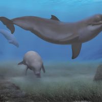 Reconstruction of a Mediterranean seascape in the early Pliocene