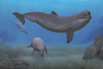 Reconstruction of a Mediterranean seascape in the early Pliocene