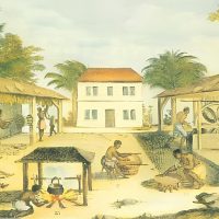 Slaves processing tobacco in Virginia in 1670